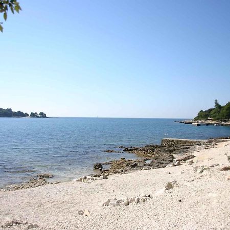 Apartments In Rovinj/Istrien 11528 外观 照片